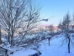 -天羽烤乳鸽店(财大家属院店)