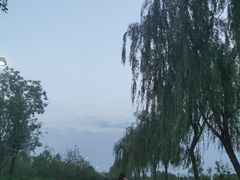 -洨河生态公园