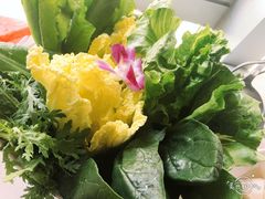 -川西坝子(老军营店)