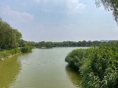 -燕郊植物园