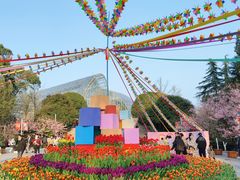 -南山植物园