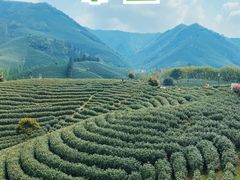 -帐篷客·溪龙茶谷度假酒店