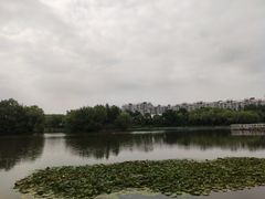 -新江湾城公园