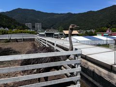 -宁波九龙湖开元度假村