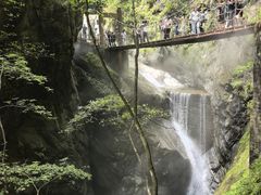 -牛背梁国家森林公园
