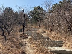 -北京西山国家森林公园