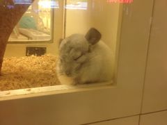 -龙猫仔乐园(惠福东路店)