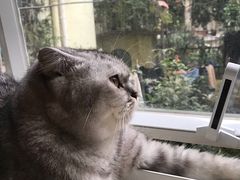 -拾壹cafe·工作室