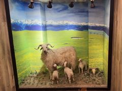 -清真·益鑫羊肉手抓馆(花园北街店)