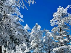 -西岭雪山大飞水景区