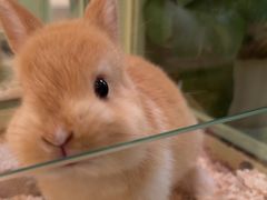 -龙猫仔乐园(惠福东路店)