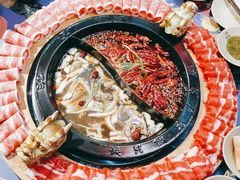 -蜀大侠火锅(森兰花园城店)