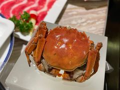 -汤城·料青山