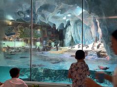 -帝企鹅自助餐厅•儿童岛•真企鹅(长隆企鹅酒店)