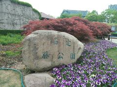 -嘉定紫藤园