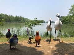 -苏州太湖国家湿地公园