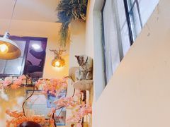 -李小姐の猫咖啡馆(五角场店)