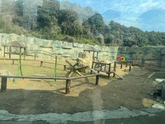 -杭州野生动物世界