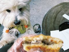 -BOCATA 西班牙餐厅(三里屯店)