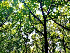 -沈阳辉山风景区