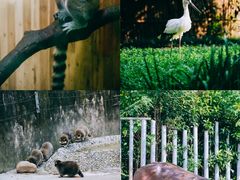 -常州淹城野生动物世界