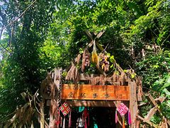 -西双版纳原始森林公园