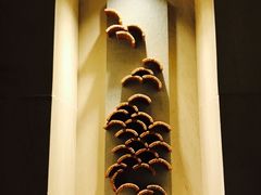 -上海雅居乐万豪侯爵酒店