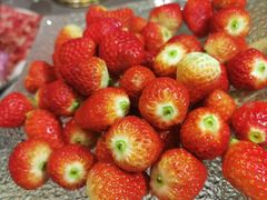 -小天鹅戴斯酒店鲸鲨百汇创作料理