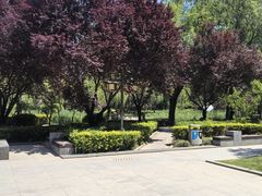-木塔寺遗址生态公园