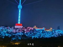 -龟山风景区-龟山电视塔