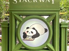 -轩客会(熊猫书店)