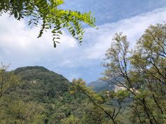 -泰山风景名胜区