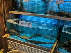 水产区-聚缘堂·海鲜私房菜(松岭路店)