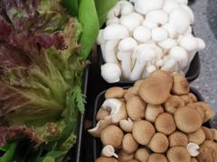 海鲜菇-新辣道鱼火锅(领展购物广场·中关村店)