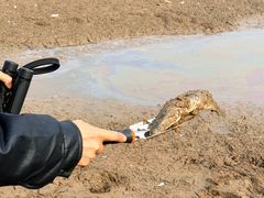 -盘龙城国家考古遗址公园