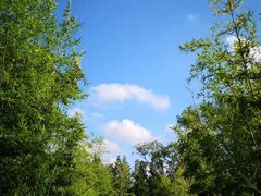 -田园东方蜜桃村的田野营地