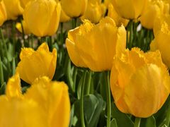 -玄武湖景区-情侣园游乐场