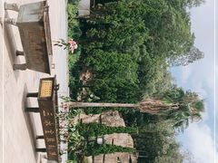 -三水森林公园