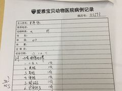 -中农大我爱我爱24h动物医院·中医针灸·猫专科·骨科医疗中心(双井店)