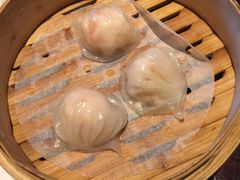 -新天世纪中餐厅
