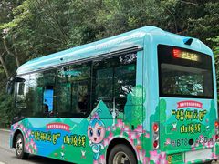 -梧桐山风景名胜区