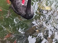 -天毓山庄·餐厅