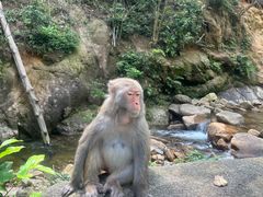 -姑婆山旅游区