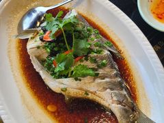 榄角蒸边鱼-九记路边鸡(穗盐路店)