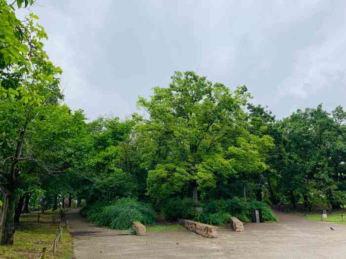 梅小路公园-"京都61梅小路公园梅小路公园在京都算是冷.