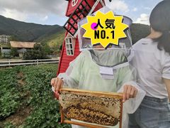 -宁波九龙湖开元度假村