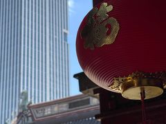 -钦赐仰殿道观
