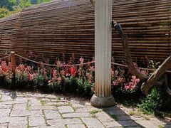 -苏州上方山国家森林公园