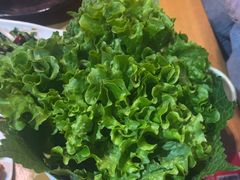 -韩味园果木炭烤鲜肉(陵东街店)