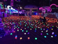 -巨鹏飞梦幻海岸